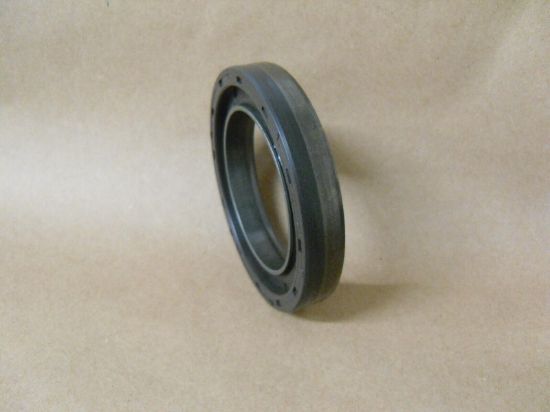 Picture of Seal