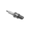 Picture of Spark Plug