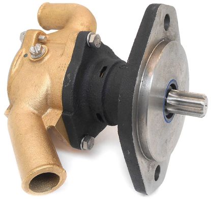 Picture of Raw Water Pump