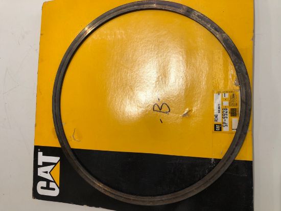 Picture of RING