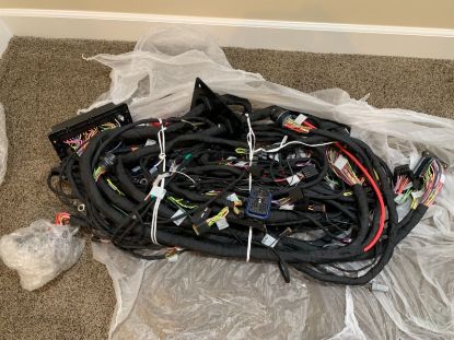 Picture of HARNESS AS
