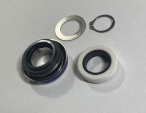 Pump Seal