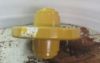 Picture of IDLER GP