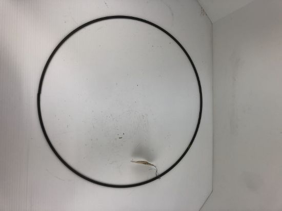 Picture of RING