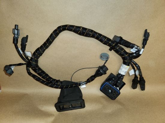 Picture of HARNESS AS
