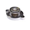 Picture of Radiator Cap