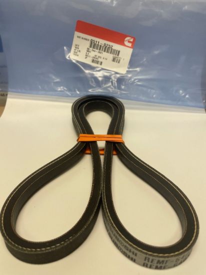 Picture of Drive Belt