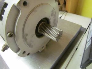 Forklift Drive Motor 36V