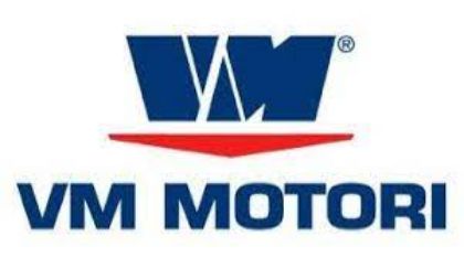 Picture for manufacturer VM MOTORI