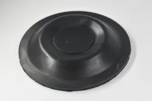 DIAPHRAGM