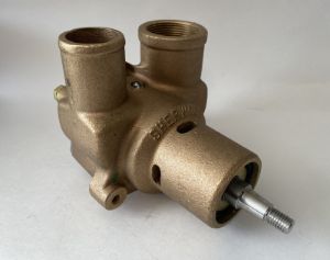 Raw Water Pump