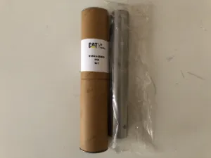 Pin,king