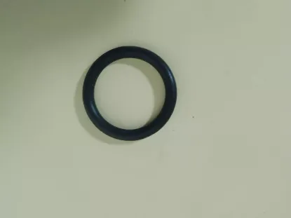 Picture of O-ring