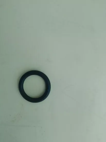 Picture of O-RING