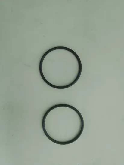 Picture of O-RING