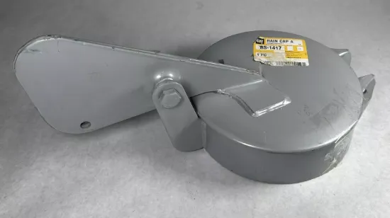 Picture of RAIN CAP