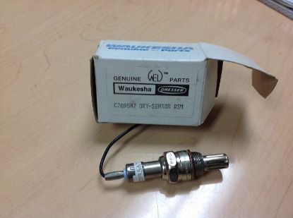 Picture of Oxygen Sensor