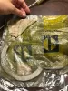 Picture of PLATE