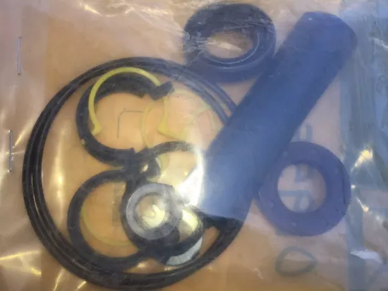 Picture of SEAL KIT