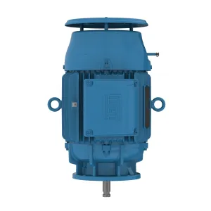 W22 P Base NEMA Premium Efficiency 25 HP 4P 284HP 3Ph 230/460//380 V 60//50 Hz IC411 - TEFC