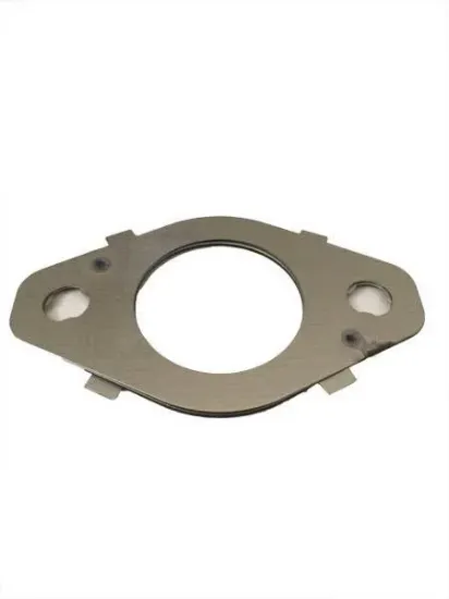 Picture of Gasket