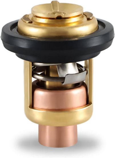 Picture of THERMOSTAT