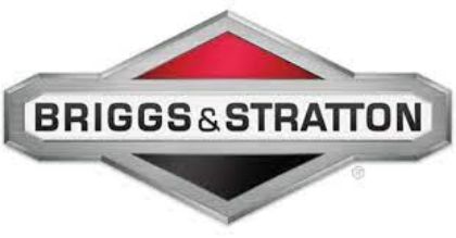 Picture for manufacturer Briggs & Stratton