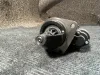 Picture of Starter Motor 12V