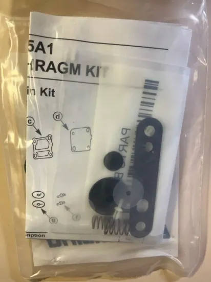 Picture of DIAPHRAGM KIT