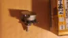 Picture of POTENTOMETER