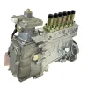 Picture of Fuel Injection Pump Reman