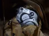 Picture of PUMP GP-GEAR