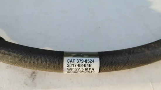 Picture of HOSE AS