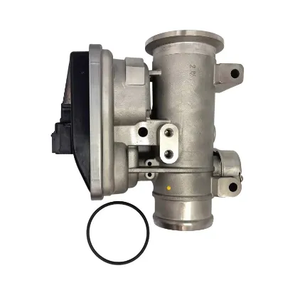 Picture of Exhaust Gas Recirculation Valve