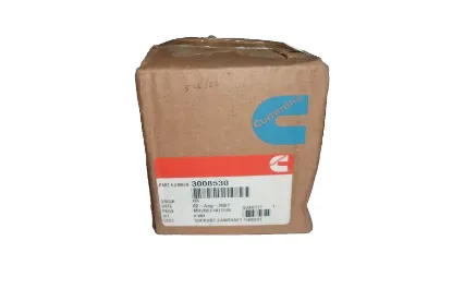 Picture of SUPPORT,CAMSHAFT THRUST