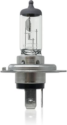 Picture of H4 Halogen Bulb 12V 60/55W