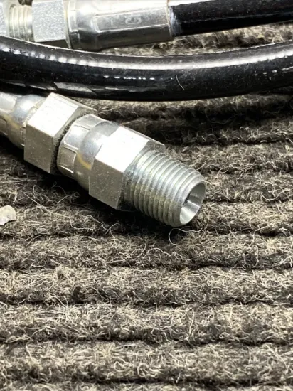 Picture of HOSE AS