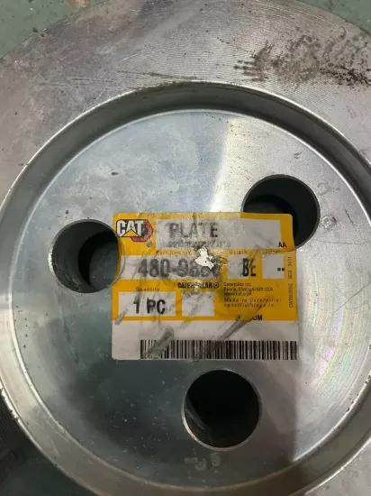Picture of PLATE