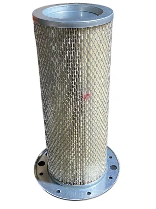 Picture of Air Filter, Secondary