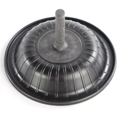 Picture of DIAPHRAGM