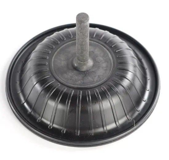 Picture of DIAPHRAGM