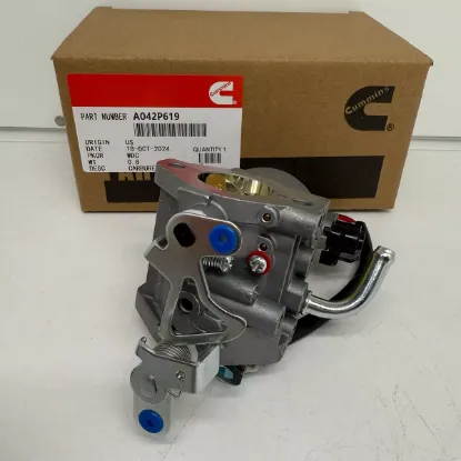 Picture of CARBURETOR KIT