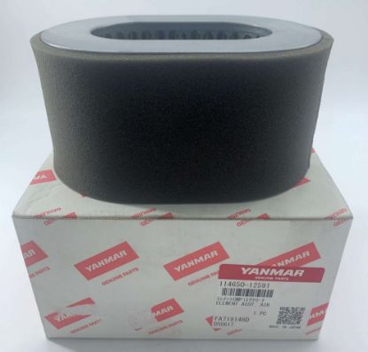 Picture of Air Filter
