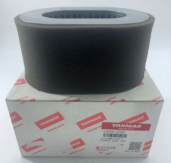 Picture of Air Filter