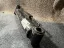 Picture of Cylinder Slave 600A/AJ