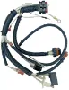 Picture of HARNESS-ENGINE (120V,60HZ)