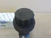 Picture of BOLT