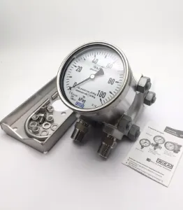 0-100kPag Differential Pressure Gauge 2 x 1/2 NPT 110BL4X8