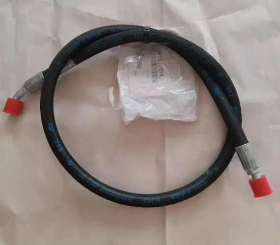 Picture of HOSE AS