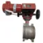 Picture of CAMFLEX II  8" 55PSI VALVE
